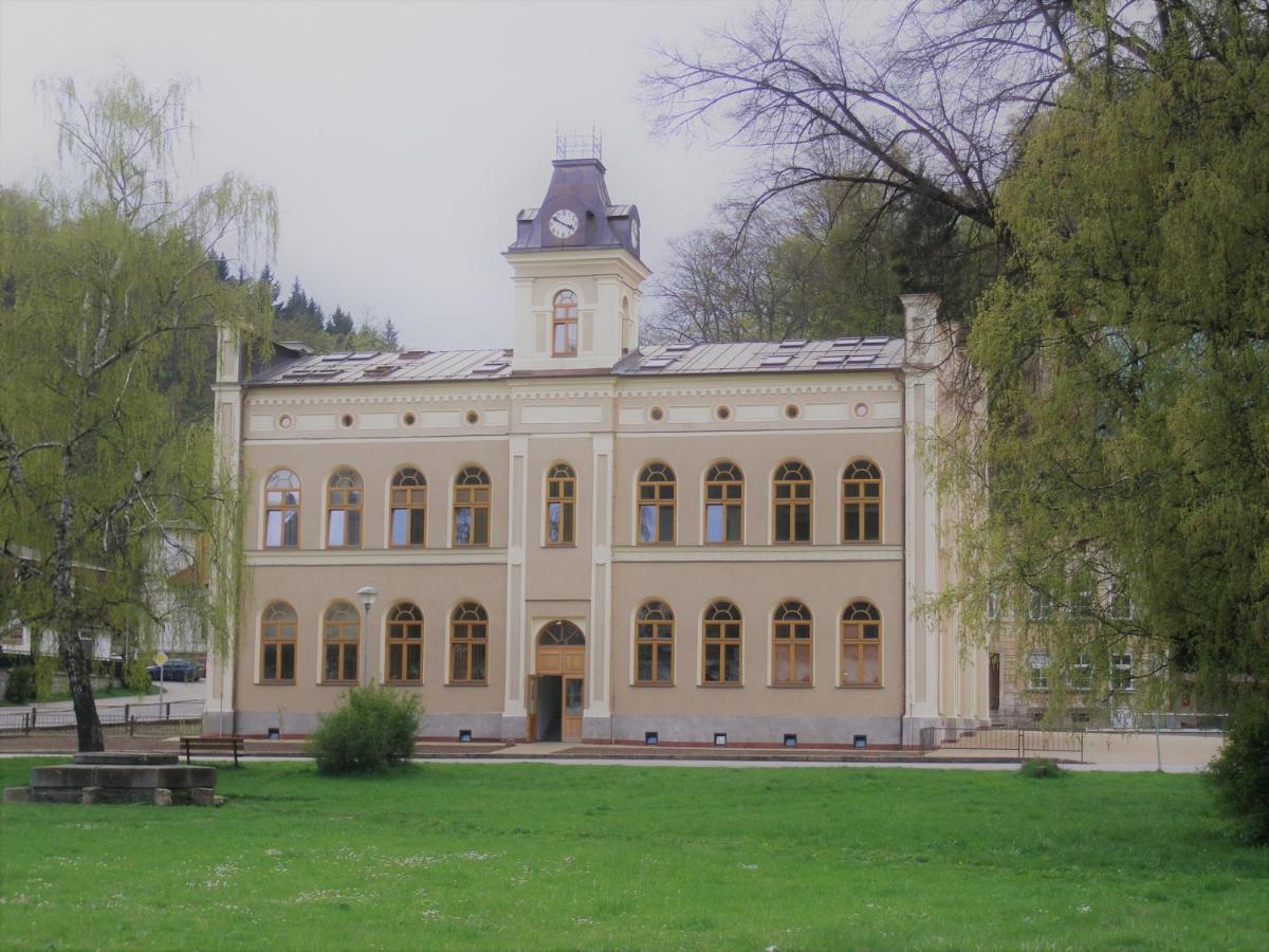 Apartmán Pod střechou Svoboda nad Úpou Exteriér fotografie