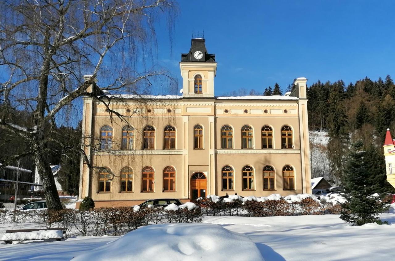 Apartmán Pod střechou Svoboda nad Úpou Exteriér fotografie
