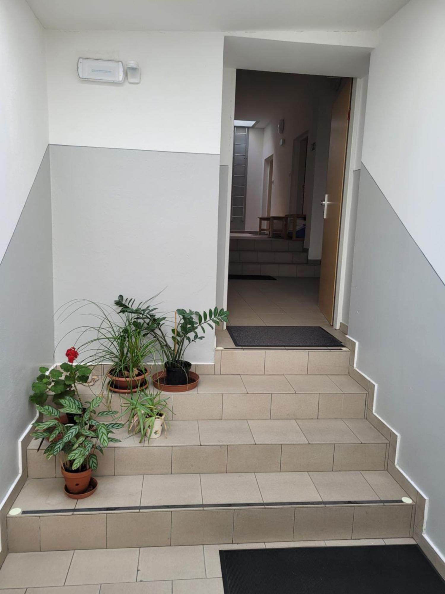 Apartmán Pod střechou Svoboda nad Úpou Exteriér fotografie